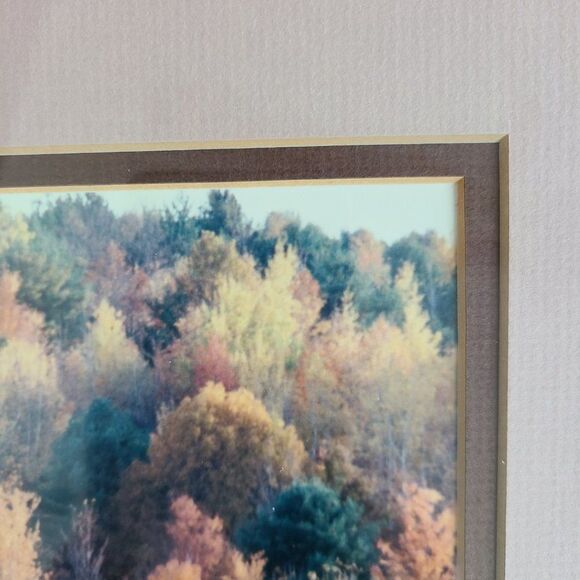 Vintage Autumn Fall Photography Wall Hanging Framed and Matted J Palmer 1988 - Picture 12 of 16